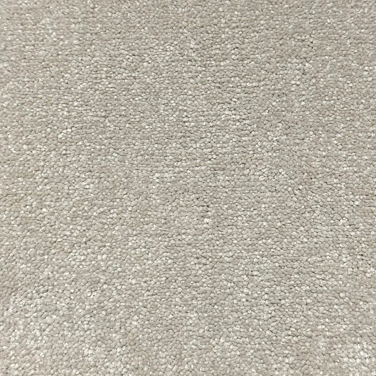 Reflections Landing Carpet - Cotton 07